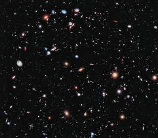 The Diversity of Galaxies